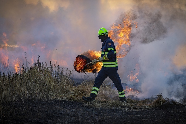 Region. Wypalanie traw to przestępstwo - apel śląskich strażaków
