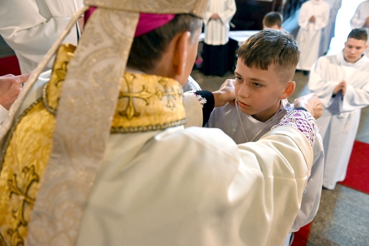 Promocja ceremoniarzy i lektorów w świdnickiej katedrze 