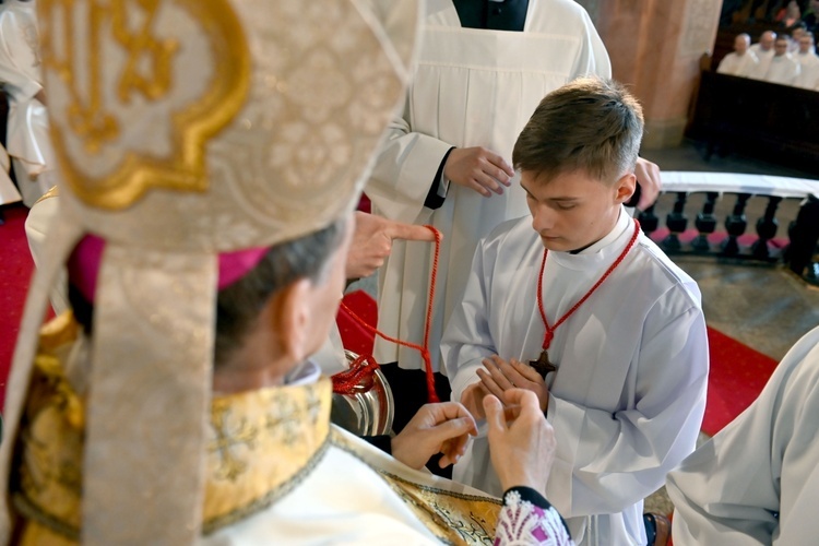 Promocja ceremoniarzy i lektorów w świdnickiej katedrze 