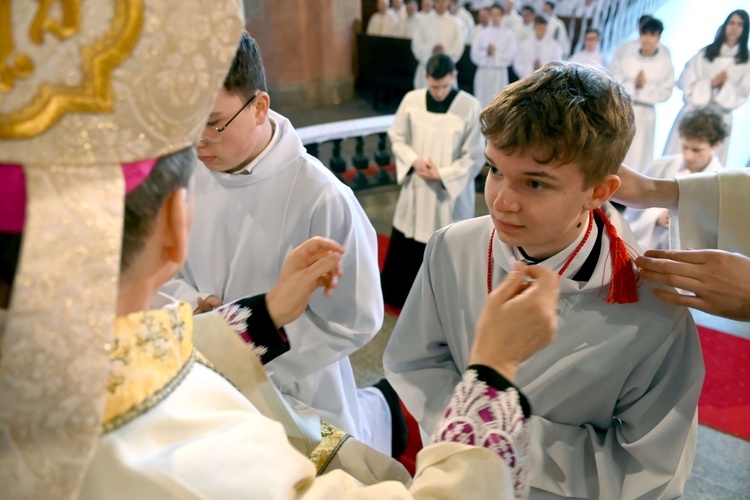 Promocja ceremoniarzy i lektorów w świdnickiej katedrze 