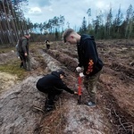 Las pamięci Jana Pawła II