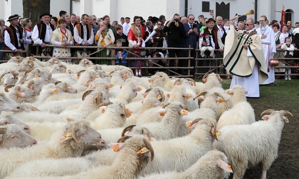 W Ludźmierzu bacowie i juhasi zainaugurowali sezon pasterski