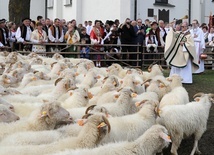 W Ludźmierzu bacowie i juhasi zainaugurowali sezon pasterski