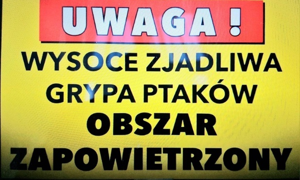 Śląskie. Powiaty raciborski, rybnicki i wodzisławski obszarami zagrożonymi wysoce zjadliwą grypą ptaków