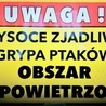 Śląskie. Powiaty raciborski, rybnicki i wodzisławski obszarami zagrożonymi wysoce zjadliwą grypą ptaków