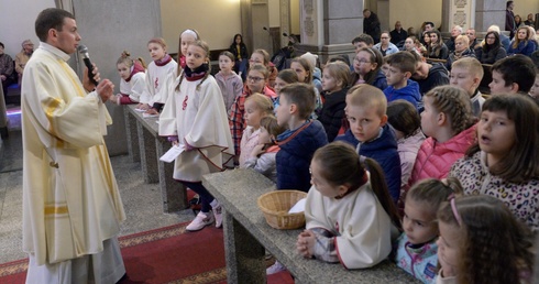 Niedziela seminaryjna w diecezji radomskiej