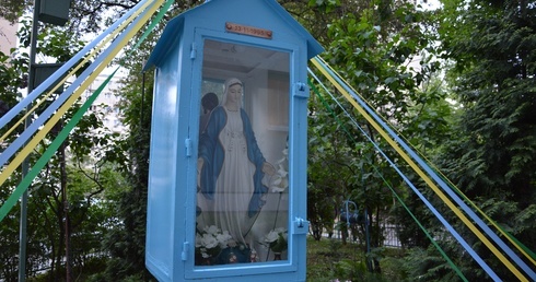 Majowe czas zacząć!