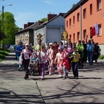 10. Piesza Pielgrzymka Szensztacka do sanktuarium w Rokitnicy