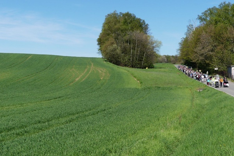 Z Witkowic do Wieprza - II dzień w drodze do Łagiewnik