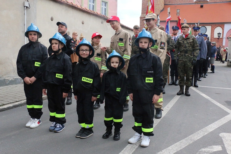 Dolnośląskie obchody Święta Konstytucji 3 maja
