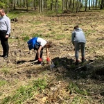 Wojbórz. Biskup wziął udział w sadzeniu drzew