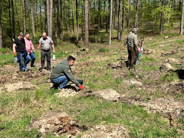 Wojbórz. Biskup wziął udział w sadzeniu drzew