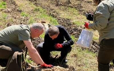 Wojbórz. Biskup wziął udział w sadzeniu drzew