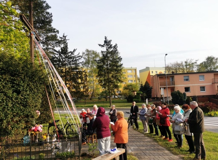 Majowe przy przydrożnym krzyżu