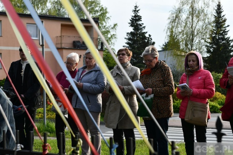 Majowe przy przydrożnym krzyżu