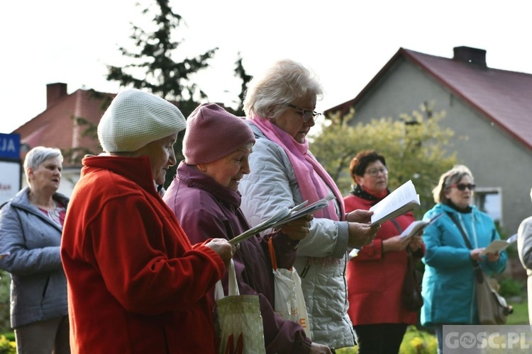 Majowe przy przydrożnym krzyżu