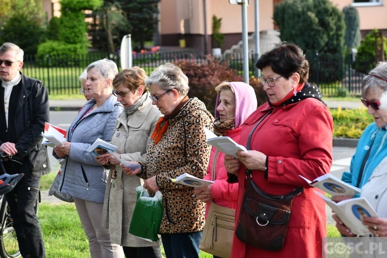 Majowe przy przydrożnym krzyżu