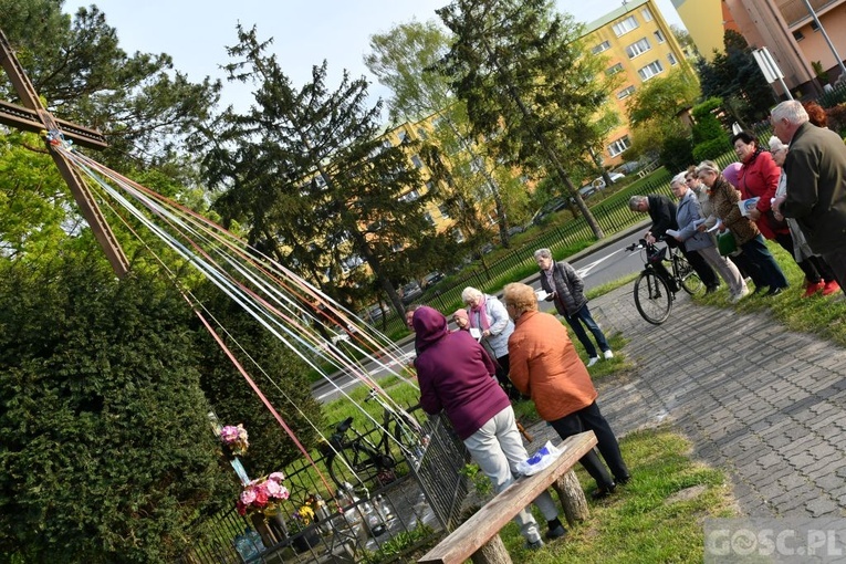 Majowe przy przydrożnym krzyżu