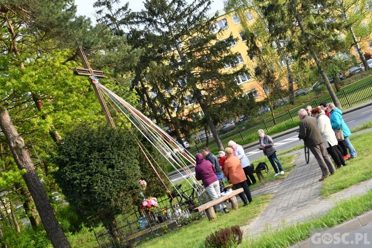 Majowe przy przydrożnym krzyżu