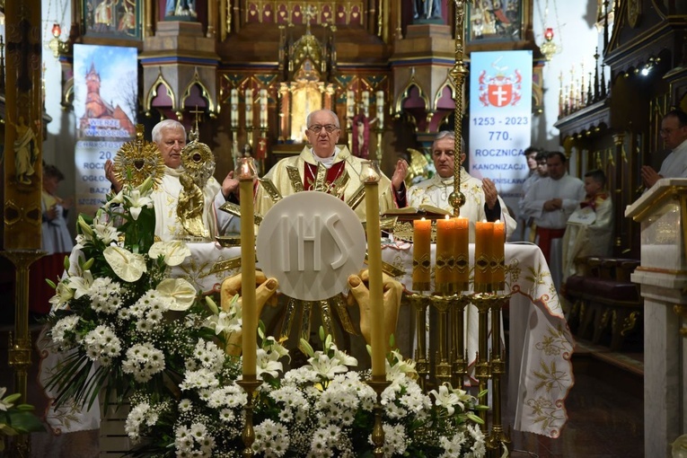 Abp Budzik w Szczepanowie