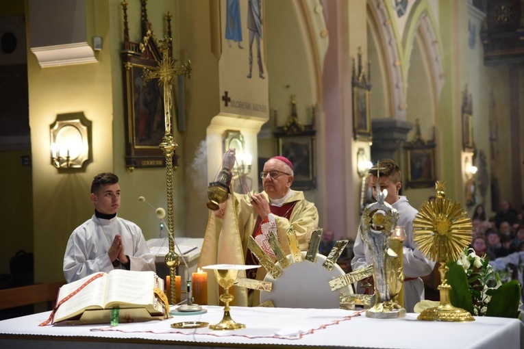 Abp Budzik w Szczepanowie