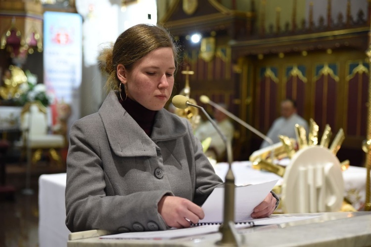 Abp Budzik w Szczepanowie
