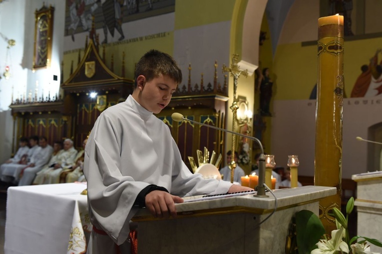 Abp Budzik w Szczepanowie