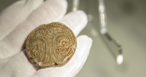 Prezentacja znaleziska z Budzistowa