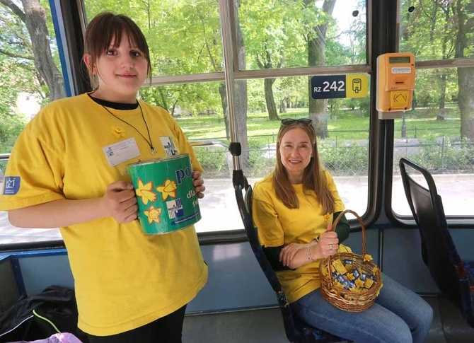 Żonkilowy tramwaj 2023