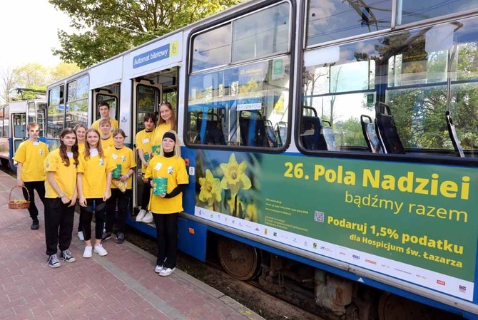 Żonkilowy tramwaj 2023