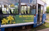 Żonkilowy tramwaj 2023