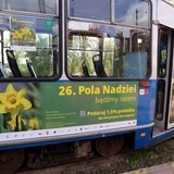 Żonkilowy tramwaj 2023