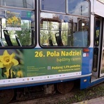 Żonkilowy tramwaj 2023