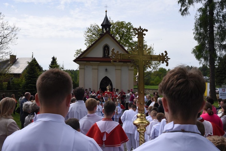 Kardynał Müller w Szczepanowie 