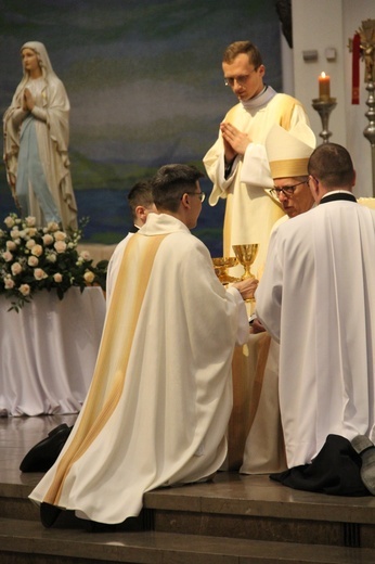 Święcenia kapłańskie w Katowicach