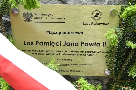 Las Jana Pawła II w Brzesku