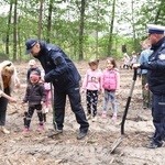 Las Jana Pawła II w Brzesku