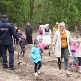 Las Jana Pawła II w Brzesku