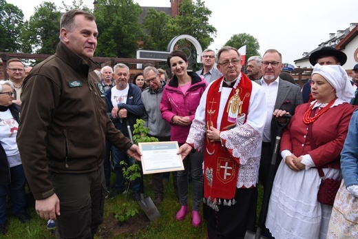 Drzewa świętych w Szczepanowie