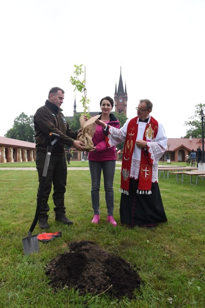 Drzewa świętych w Szczepanowie