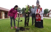 Drzewa świętych w Szczepanowie