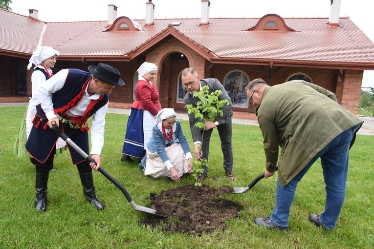 Drzewa świętych w Szczepanowie
