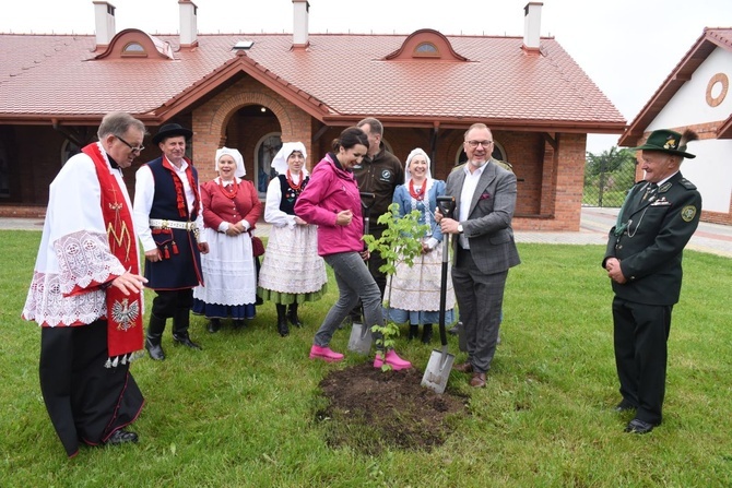 Drzewa świętych w Szczepanowie