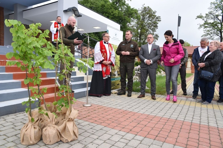 Drzewa świętych w Szczepanowie