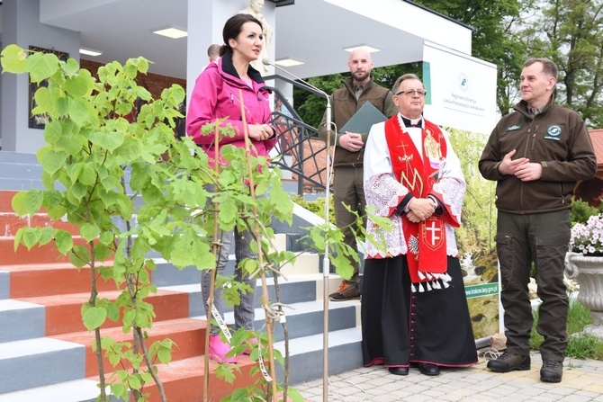 Drzewa świętych w Szczepanowie