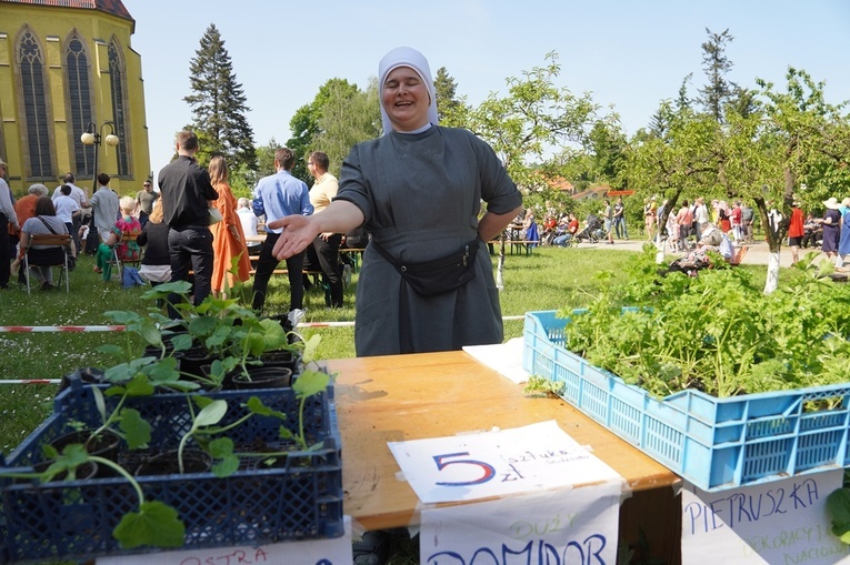 Jubileuszowa X Majówka w Ogrodach Klasztornych