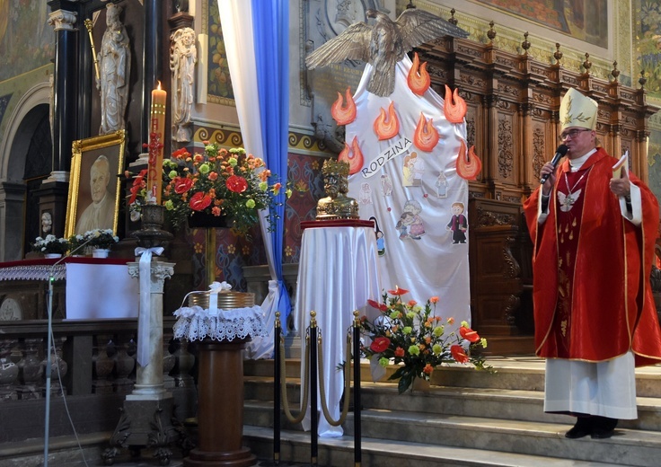 Płock. Marsz i święto rodziny