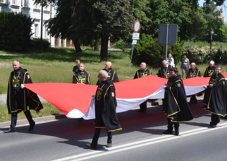 Płock. Marsz i święto rodziny