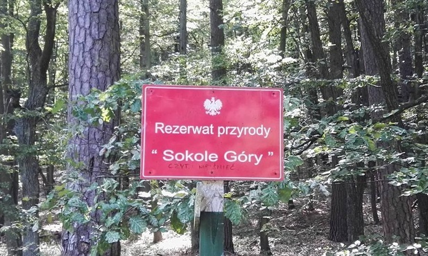 Śląskie. Rezerwat Sokole Góry na Jurze nieznacznie powiększony