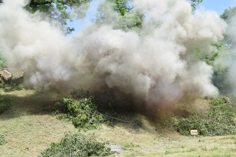 Militarny piknik we Włodzieninie